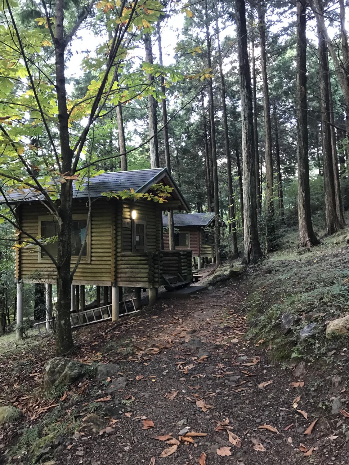 西予市野村町野村ダムロッジ［読者投稿記事］