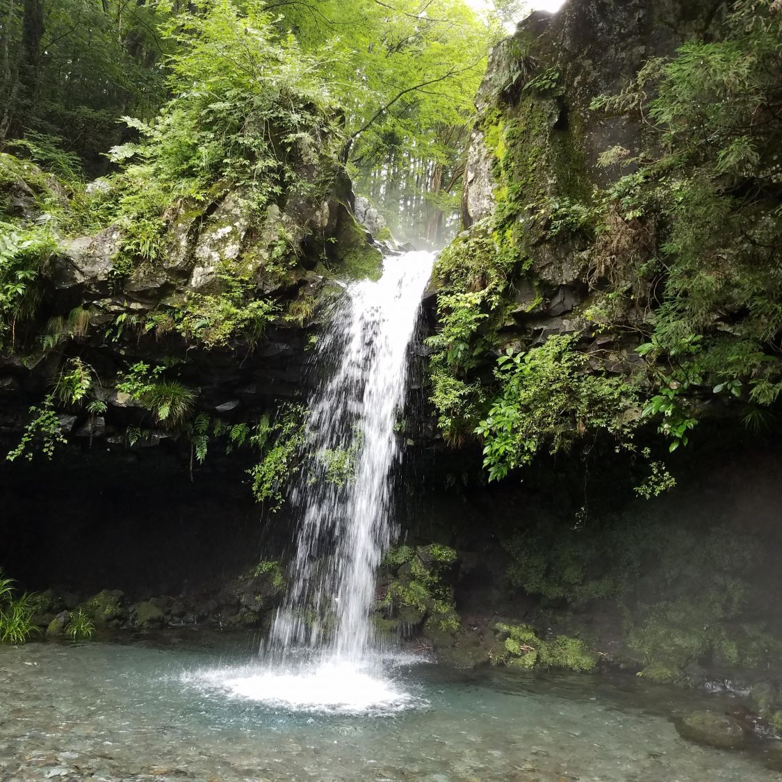 富士山麓の湧き水［読者投稿記事］