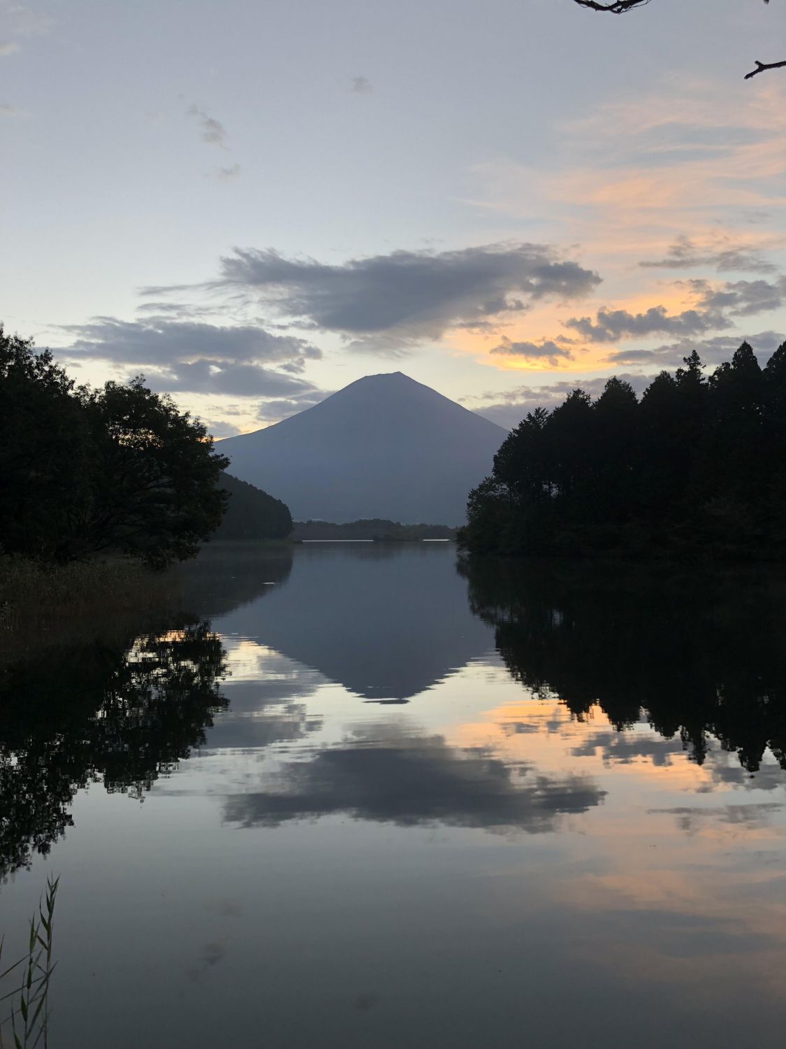 田貫湖の逆さ富士［読者投稿記事］