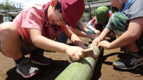 園児に園庭を自由解放地区にすると何が起きるか？　〜その6〜