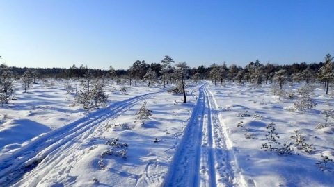 2018/02/04 フィンランド、トルロンスオ国立公園でクロスカントリースキー［読者投稿記事］