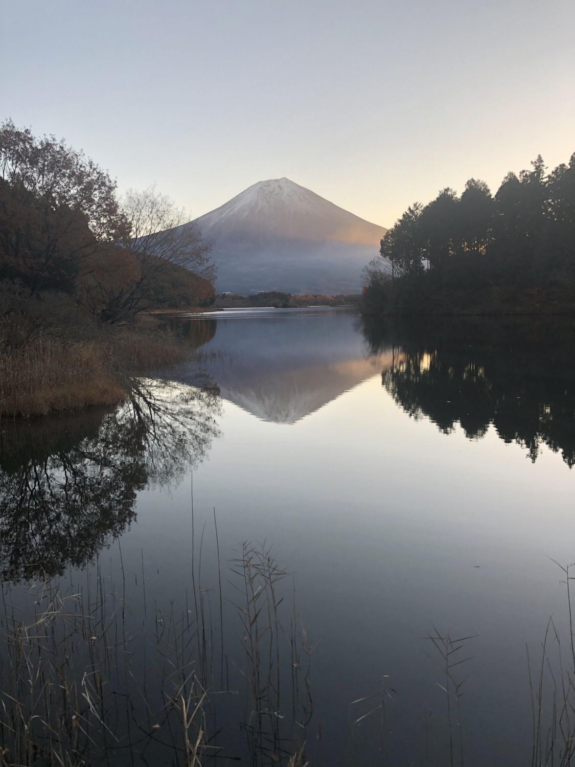 秋キャンプ in 田貫湖［読者投稿記事］