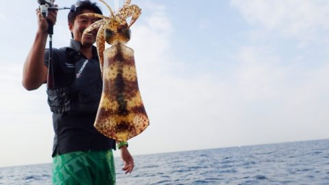 秋はアオリイカ釣りにチャレンジ！