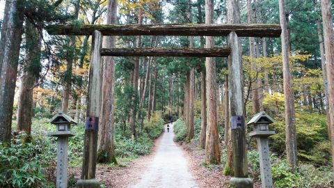 大阪府の最高峰、修験道の原郷「金剛山」へ！　【文化系アウトドアのススメ Vol.４】