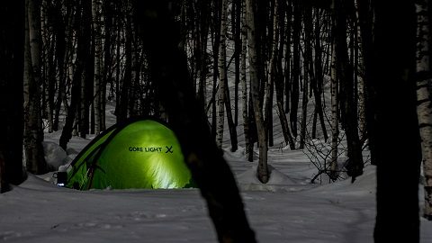 冒険の大地、アラスカへ ①