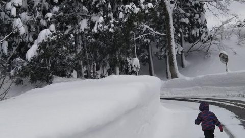 遊びがうまれる、冬の山道散歩［読者投稿記事］