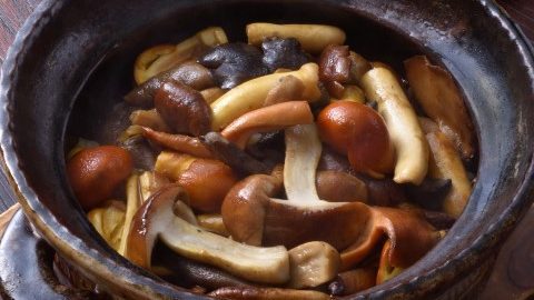 情熱大陸で超注目！長谷川在佑さんの野生食材料理「雑キノコの炊き込みご飯」