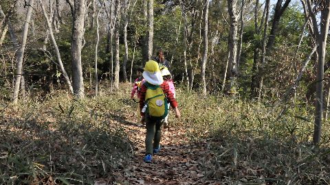 園児野生化計画！ちょっと早い春を探して