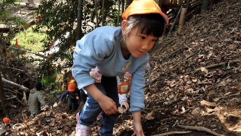 園児野生化計画！「冒険」「坂道」「ロープ」