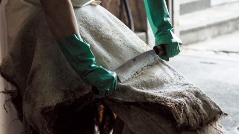 にっぽん刃物語「革工場最後の手道具」～猪皮の有効活用を実現させた昔ながらの脂削り～