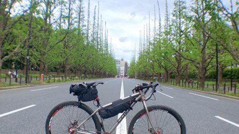 ワタシの相棒［読者投稿記事］