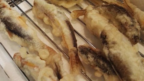 釣ったウグイは天ぷらで食らう。［読者投稿記事］