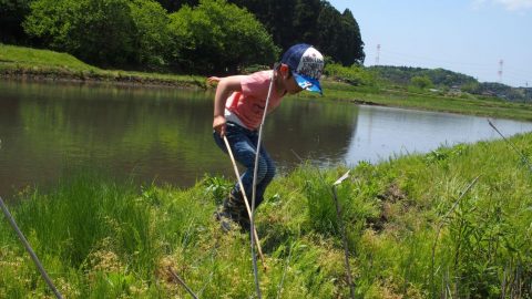 水辺でガサガサはワクワクがいっぱい～40年前と変わらない田んぼ遊び～［読者投稿記事］