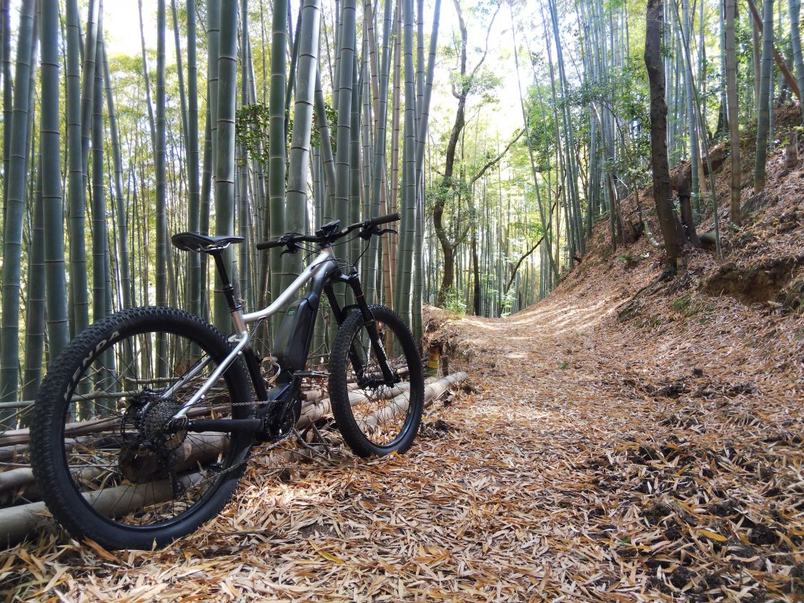 eMTB in 奈良［読者投稿記事］