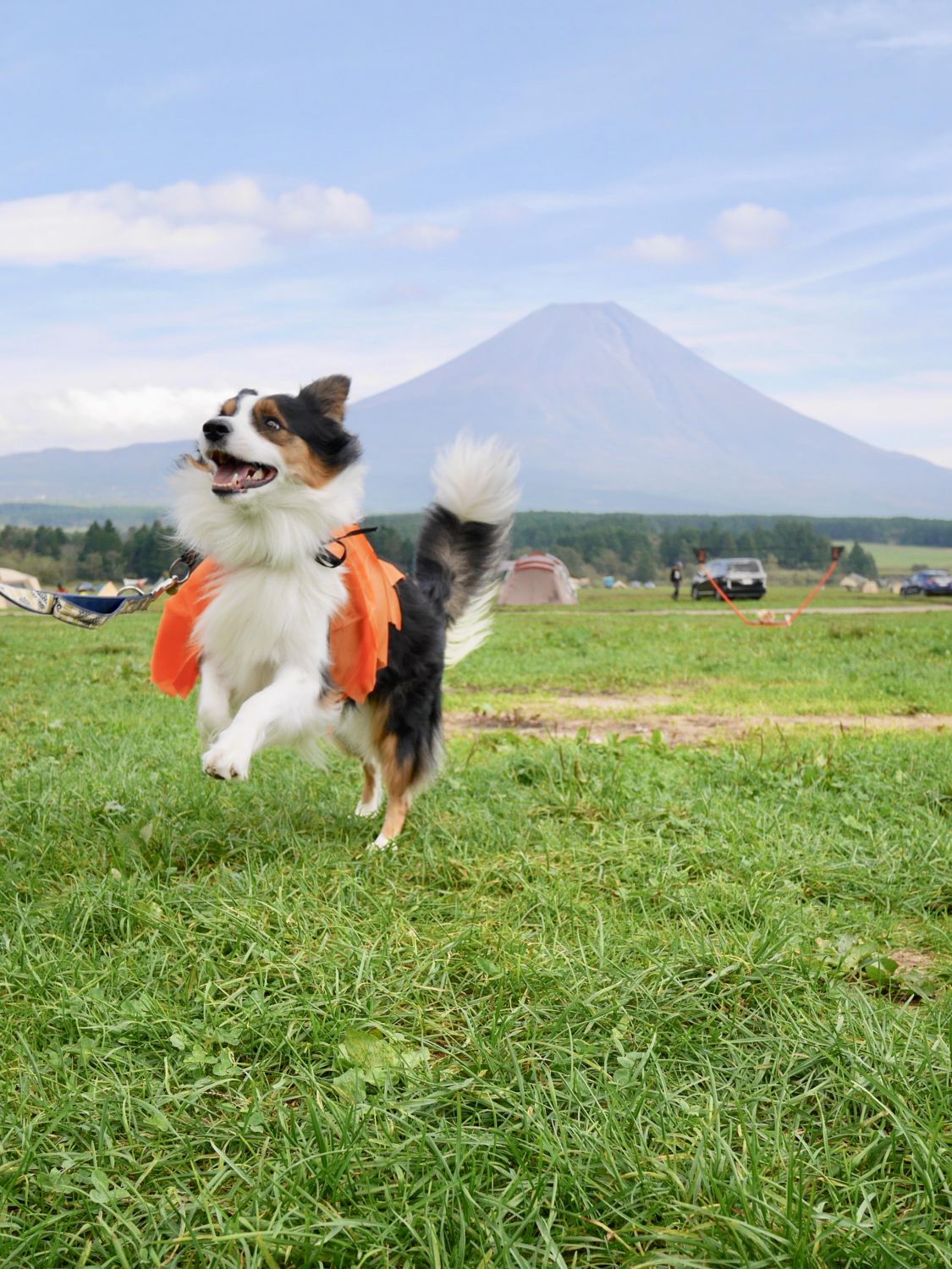 ふもとっぱらにて♪空も飛べるはず［読者投稿記事］