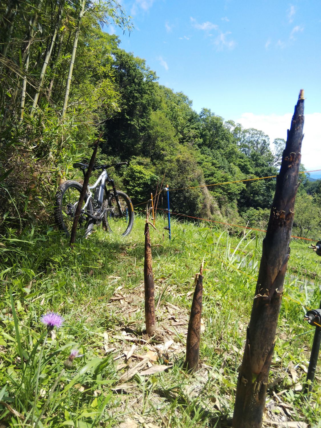 雨の止み間のトレイルride［読者投稿記事］