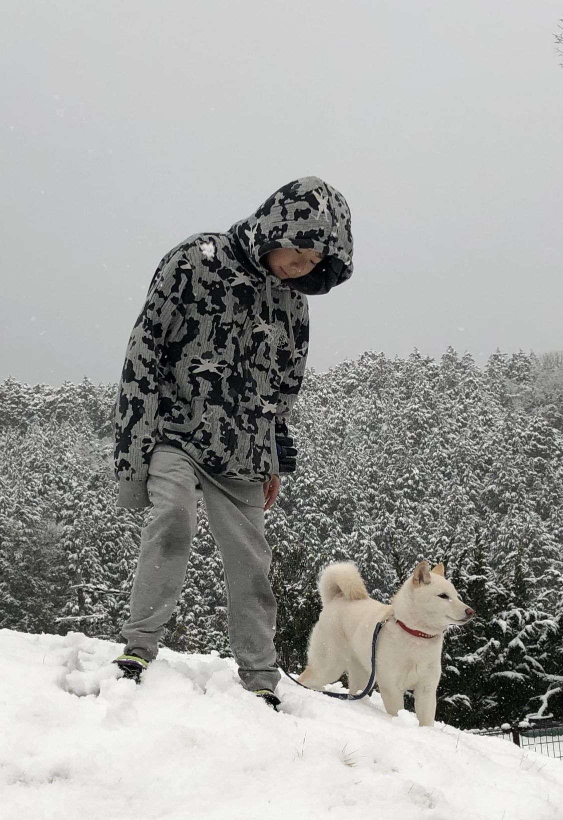 冬旅に出て雪と遭遇［読者投稿記事］