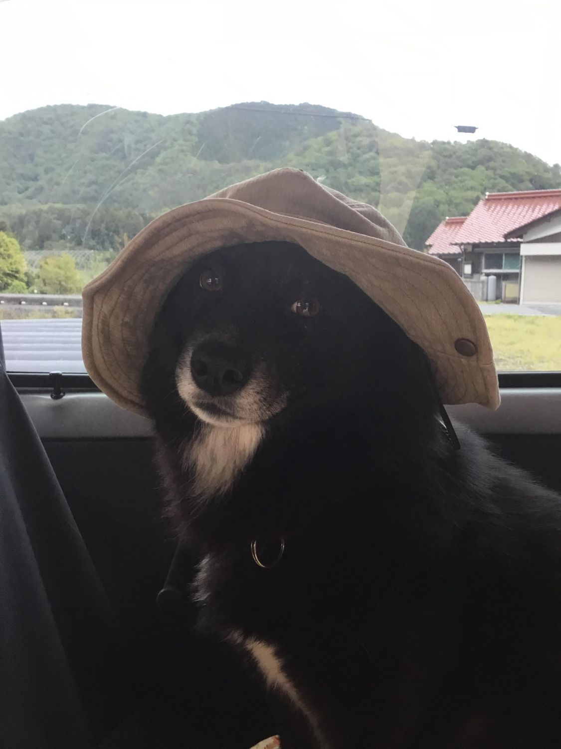 帽子被っていくよ！［読者投稿記事］
