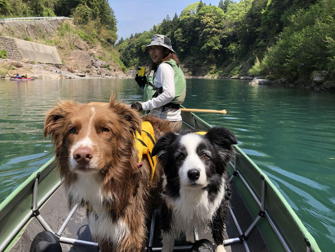 我が家のアウトドア犬紹介します。［読者投稿記事］