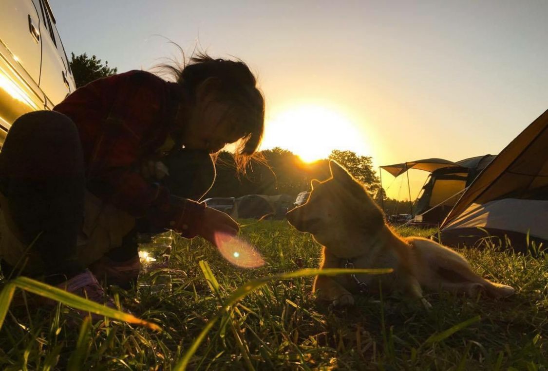 犬と夕陽［読者投稿記事］