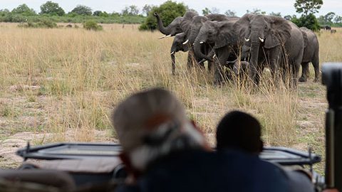 「車では近づけないアフリカ最後の秘境オカバンゴ」アフリカを軽キャンパーで旅する！ ボツワナ編 vol3