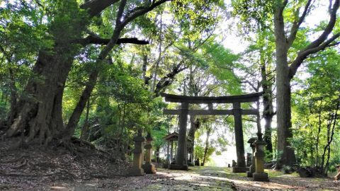 日本の原風景～息子との散歩道～［読者投稿記事］