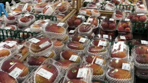 沖縄マンゴーの食べ方［読者投稿記事］