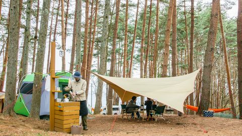 3年振りに開催！「BE-PAL FOREST CAMP 2019」サイトの予約はお早めに！