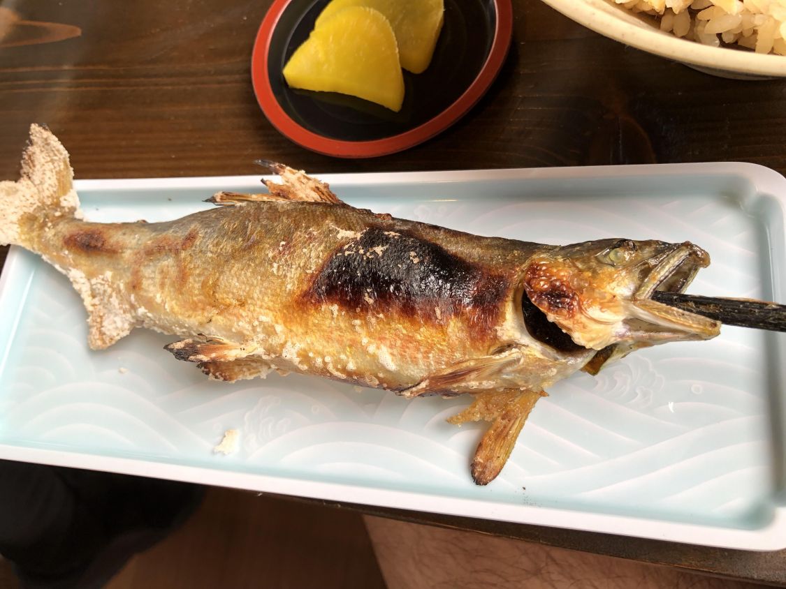 食べて、見て、日田 三隈川の鮎 を楽しみ尽くす［読者投稿記事］