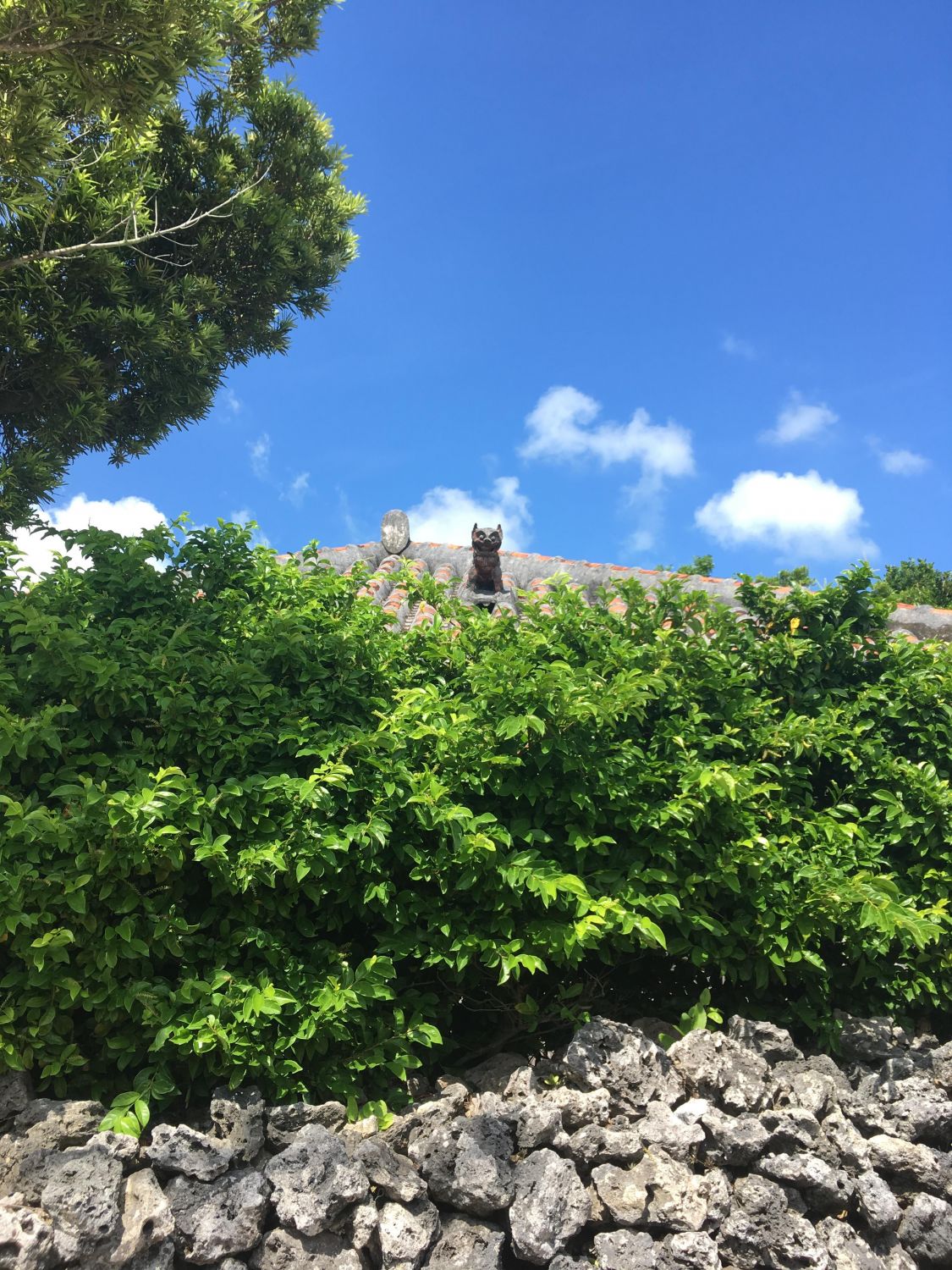 旅のお供に［読者投稿記事］