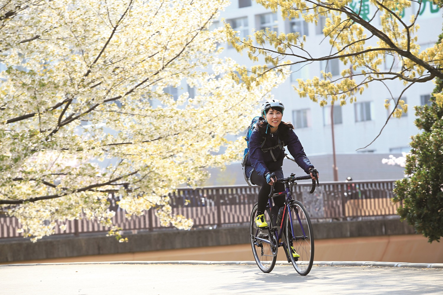自転車 ライフ