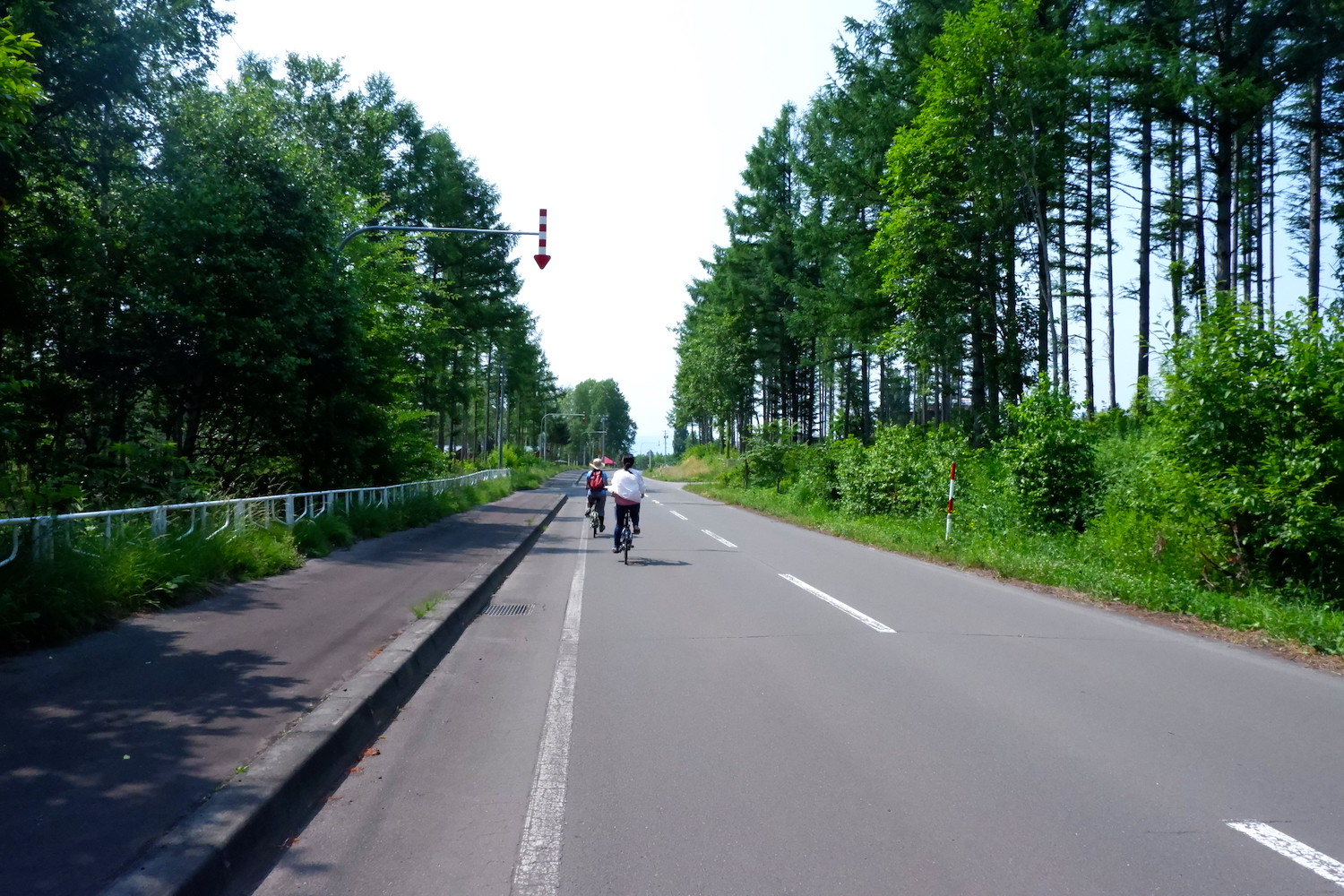 彩り豊か かみふらの八景とラベンダー園を巡るｅ ｂｉｋｅガイドツアー Be Pal