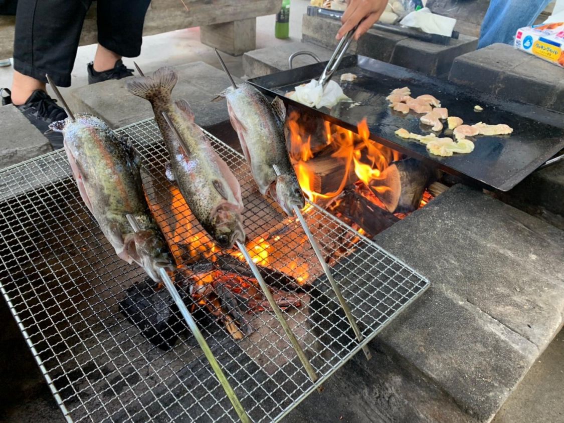塩の付け方が甘いニジマス［読者投稿記事］