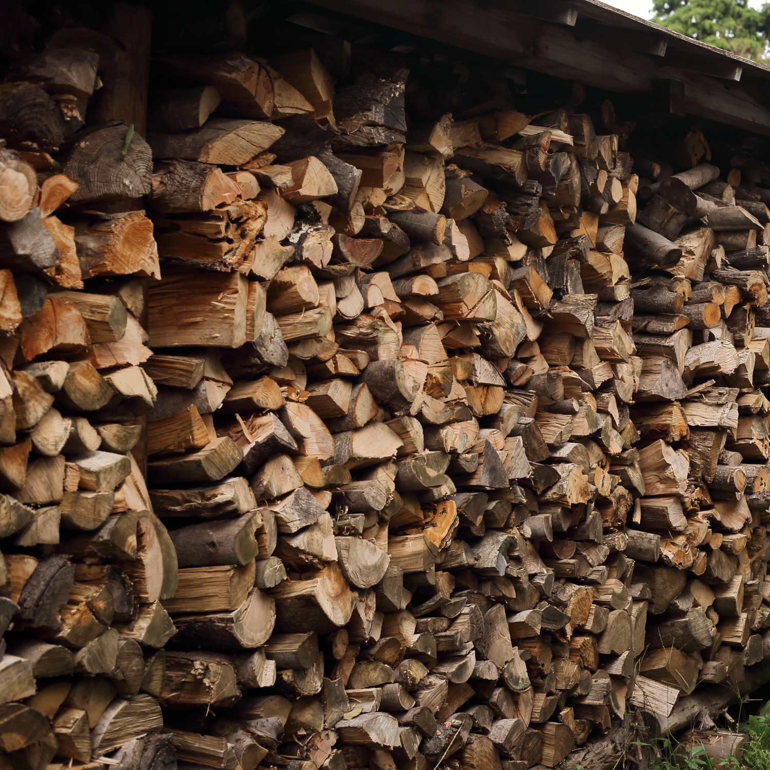 焚き火と薪ストーブをもっと楽しむ理想の薪とは 焚き火のコツ Be Pal キャンプ アウトドア 自然派生活の情報源ビーパル