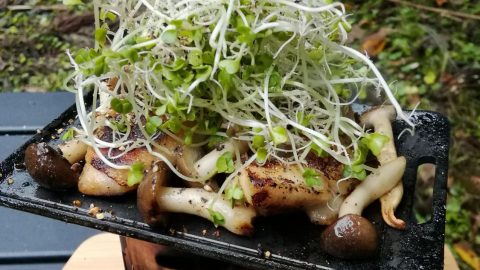 鶏としめじ黒胡椒焼き［読者投稿記事］