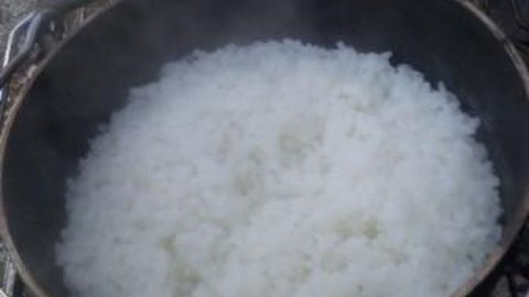 おいしいごはん［読者投稿記事］
