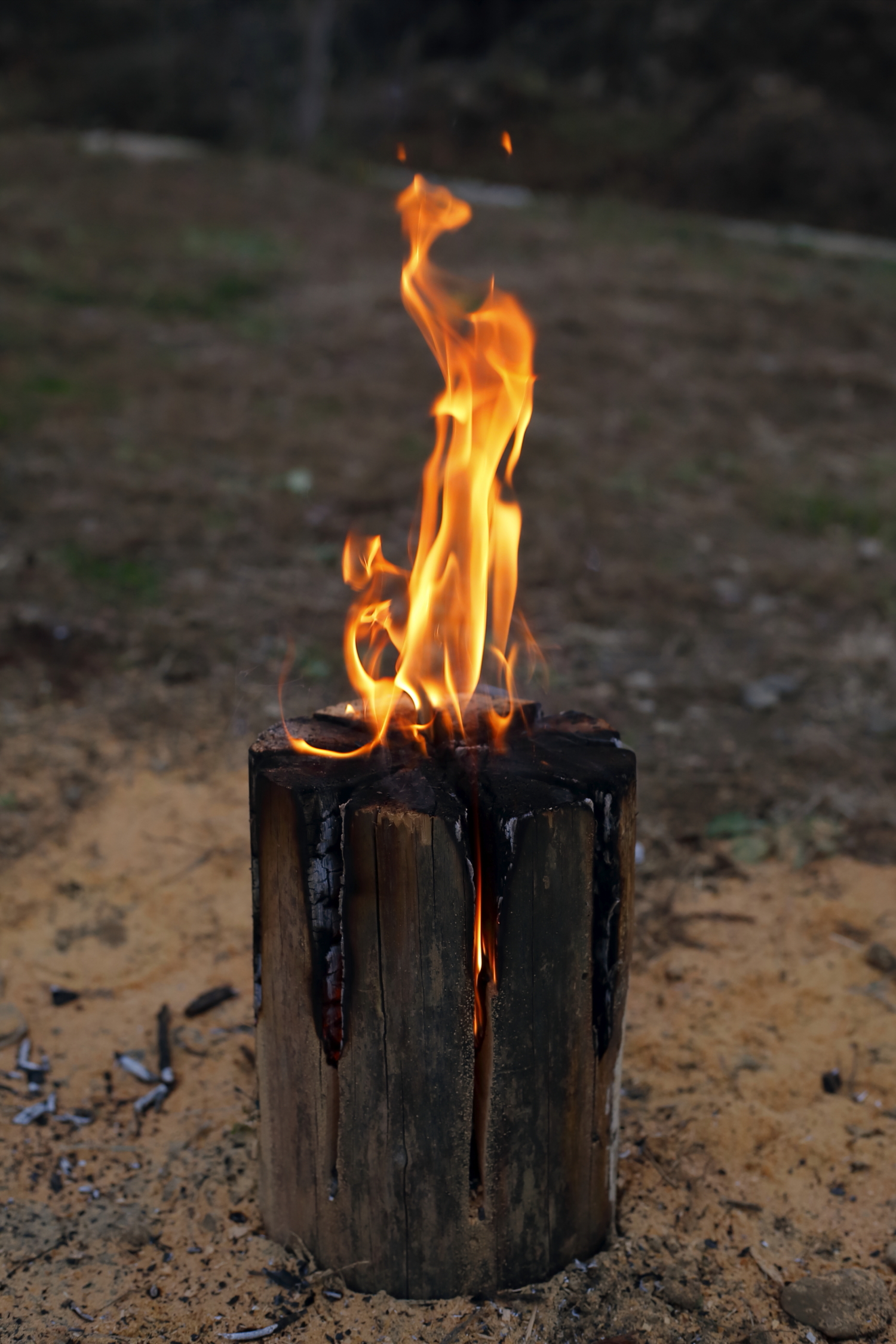 丸太で焚き火を楽しむ スウェーデントーチ ウッドキャンドル の作り方 Be Pal
