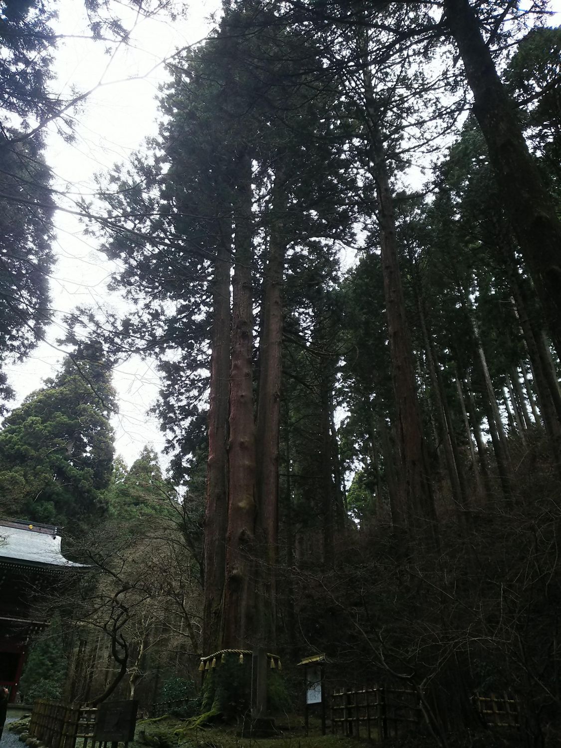 御岩神社 ハイキング［読者投稿記事］