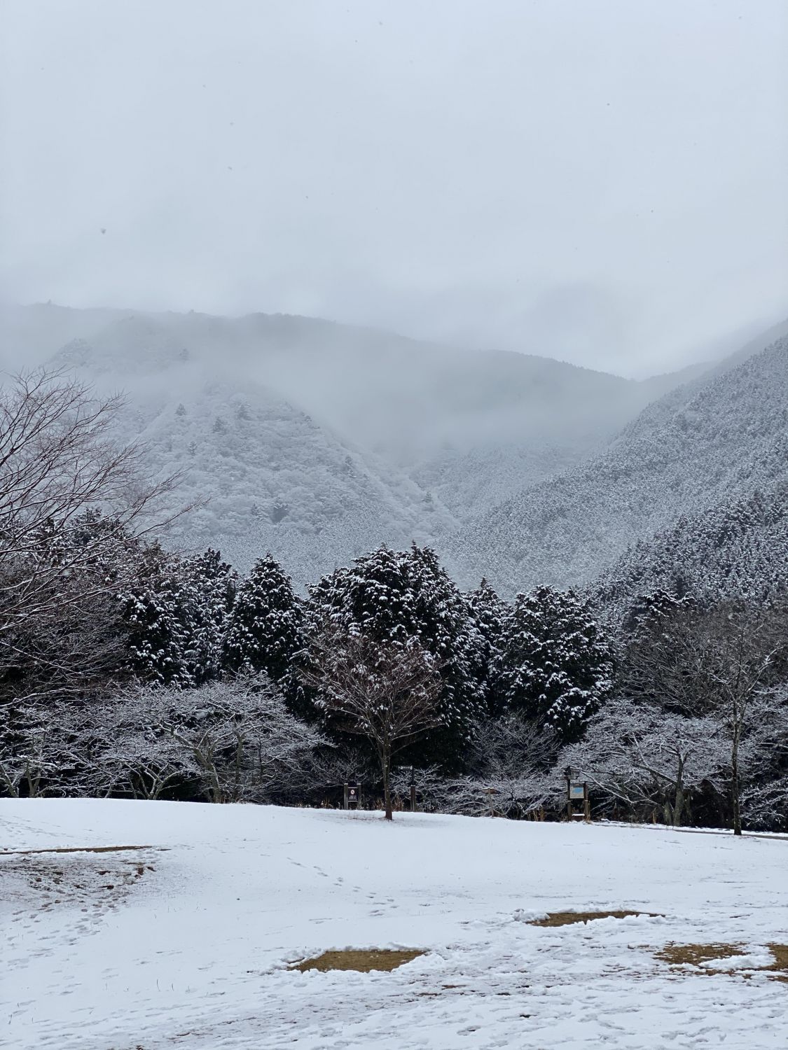 雪の田貫湖キャンプ場 2020/1/25［読者投稿記事］