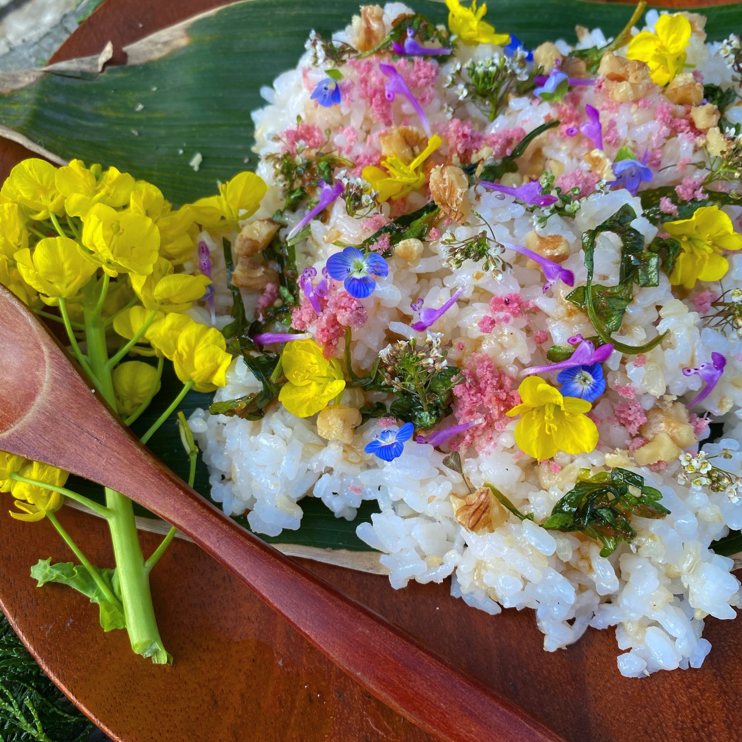 ペンペン草 ナズナ って食べられるって知ってた アウトドア料理レシピを紹介 Be Pal