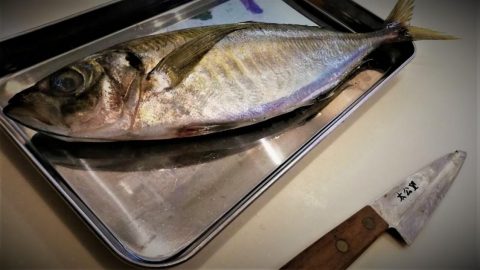 お気に入りのナイフで鯵を捌く［読者投稿記事］