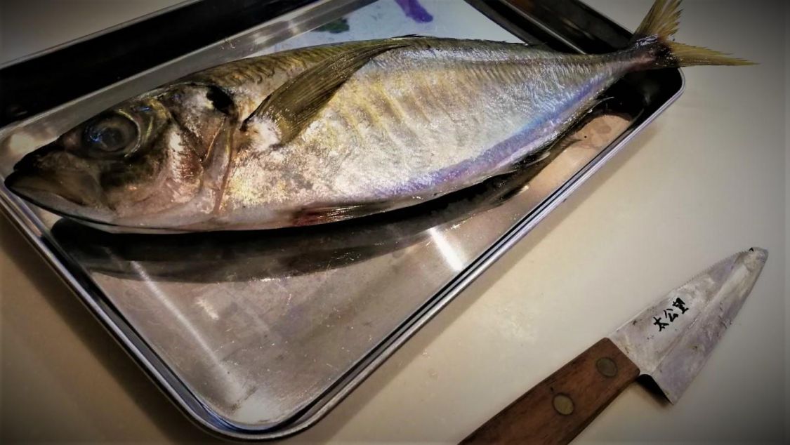 お気に入りのナイフで鯵を捌く［読者投稿記事］