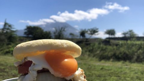 太陽バーガーいただきます［読者投稿記事］