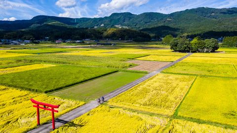 宮崎県えびの市で、のどかな田園風景の中を自転車で散策！絶景スポットと絶品グルメに出会いました！