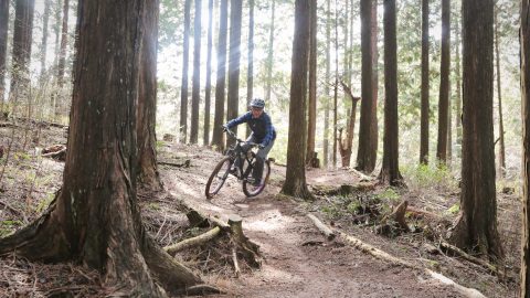 静かな森でマウンテンバイクを満喫！人気キャンプ場にあるバイクトレイルがオープン