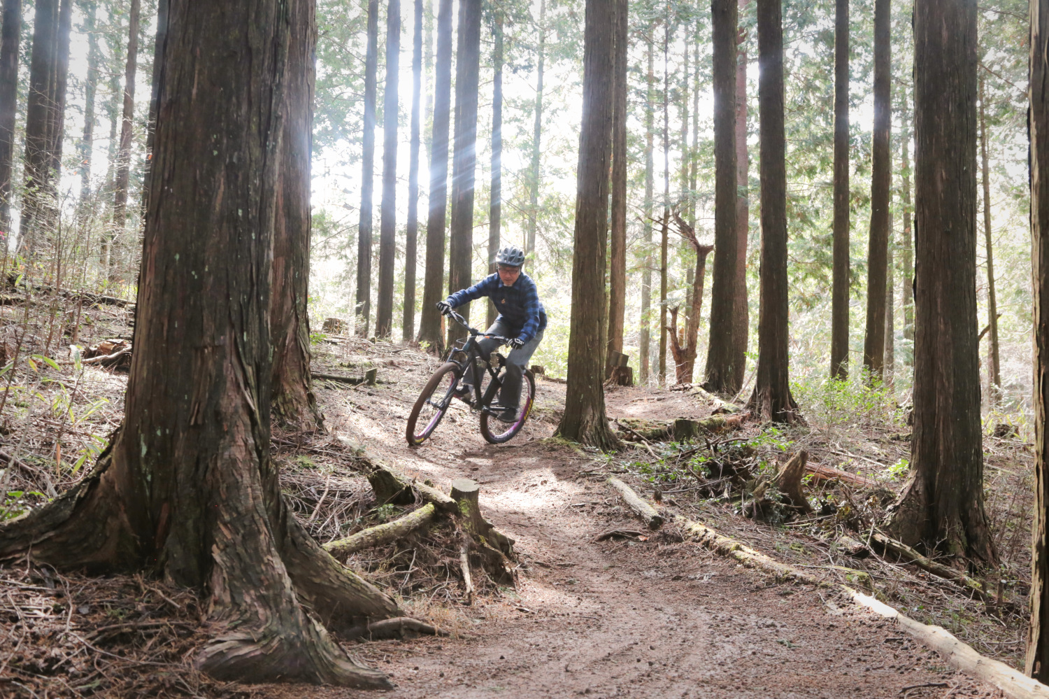 静かな森でマウンテンバイクを満喫 人気キャンプ場にあるバイクトレイルがオープン 自転車 Mtb Be Pal キャンプ アウトドア 自然派生活の情報源ビーパル