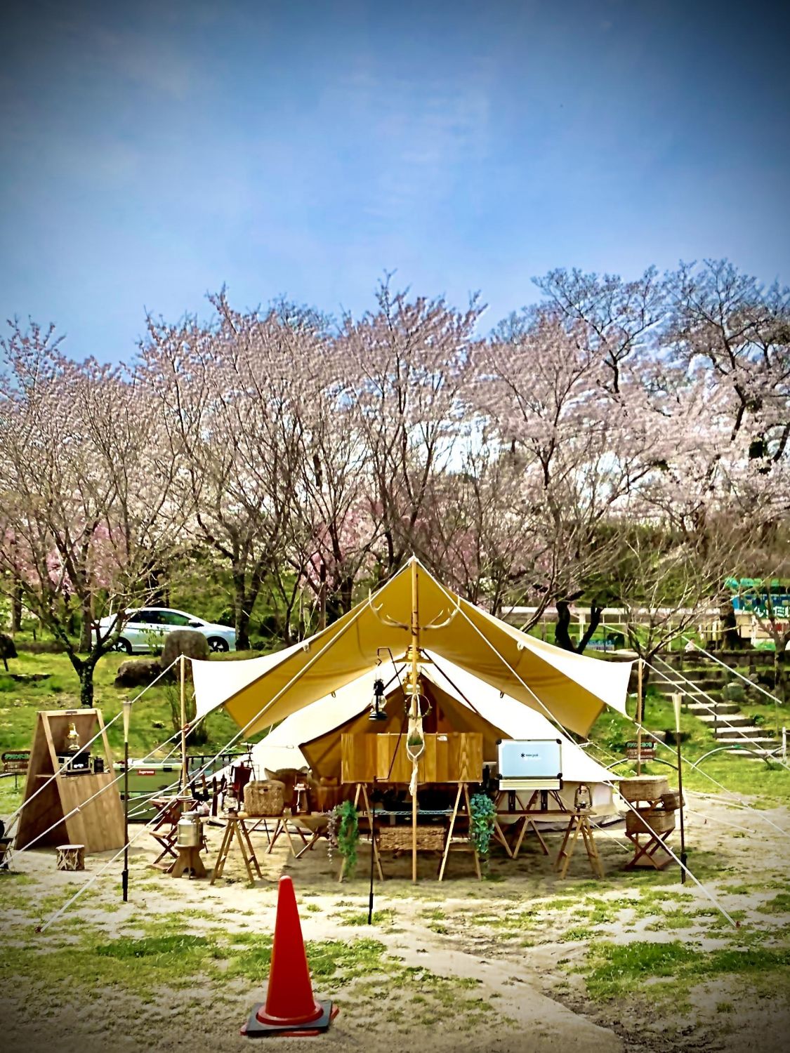 笠置キャンプ場で花見に［読者投稿記事］