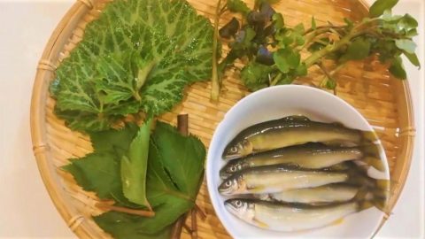 春の旬を天ぷらで！［読者投稿記事］