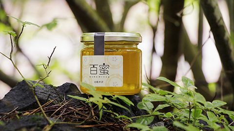 北軽井沢のキャンプ場が作る「生はちみつ」はいかが？