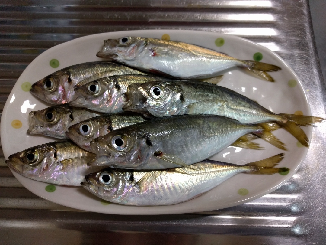 何もしないのが一番おいしい 釣り豆アジの素揚げ なめろう Be Pal